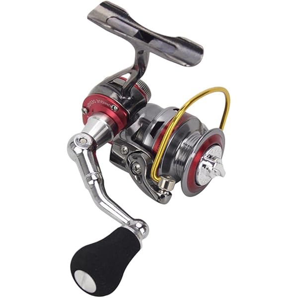 Shimano Ocea Conquest CT 200PG (Right) Bait Reel, Double Axis, 18